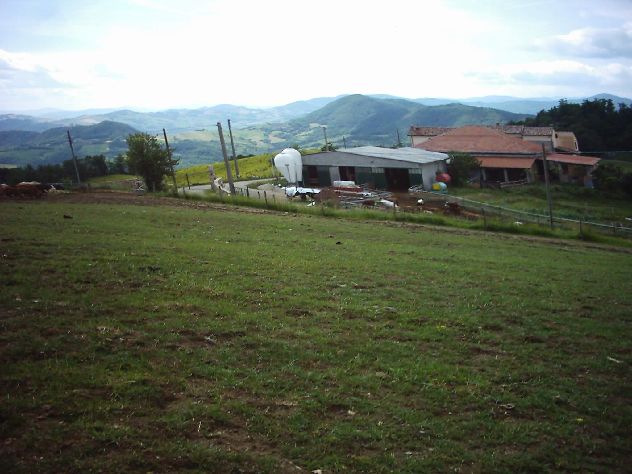 Colline piacentine azienda biologica 50 ettari in vendita