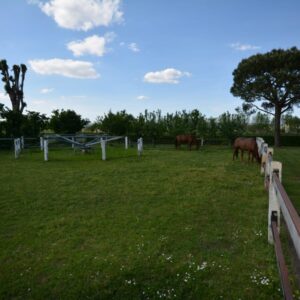 Proprietà con villa e ranch cavalli