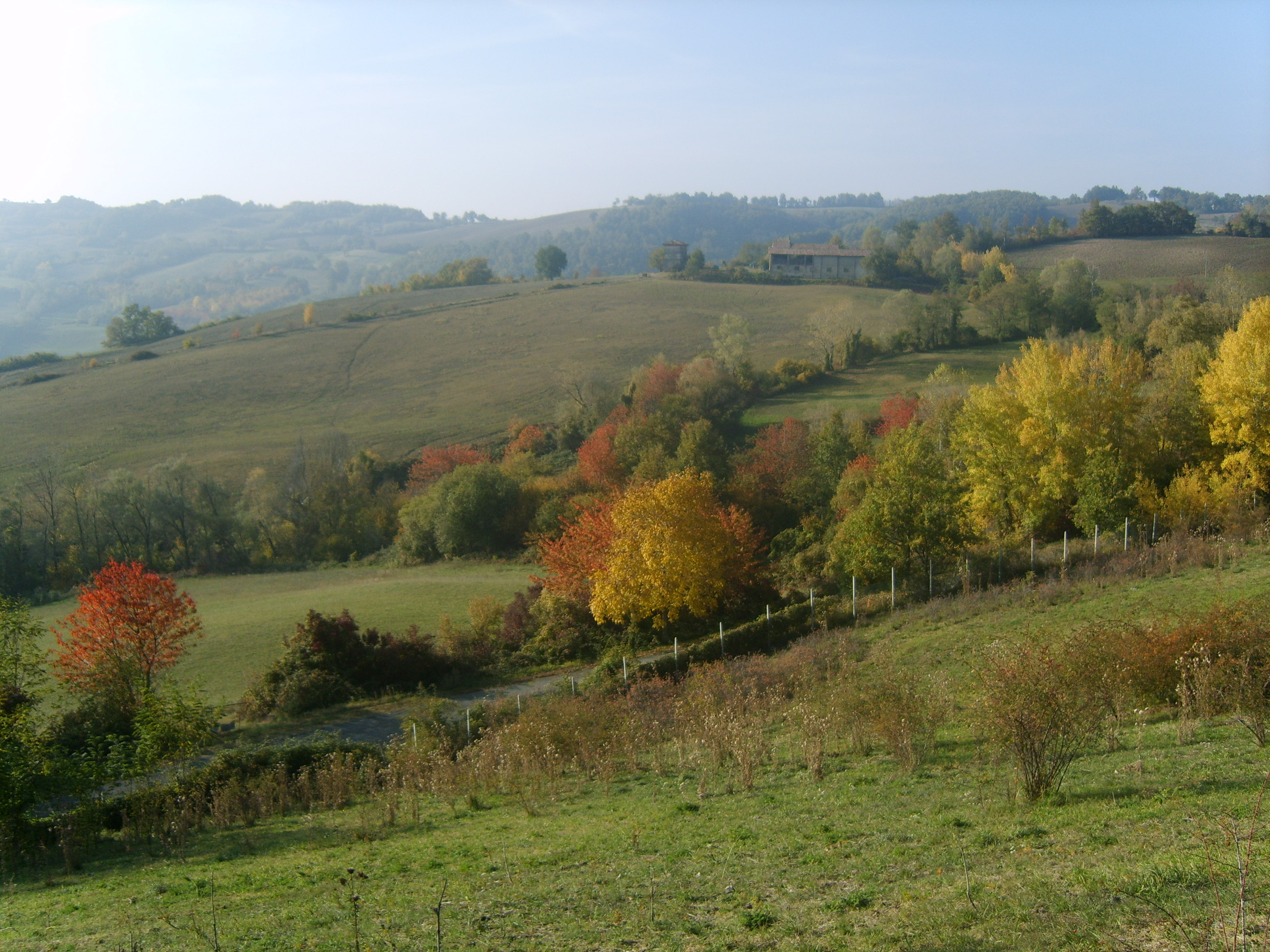 Colline piacentine azienda biologica 50 ettari in vendita
