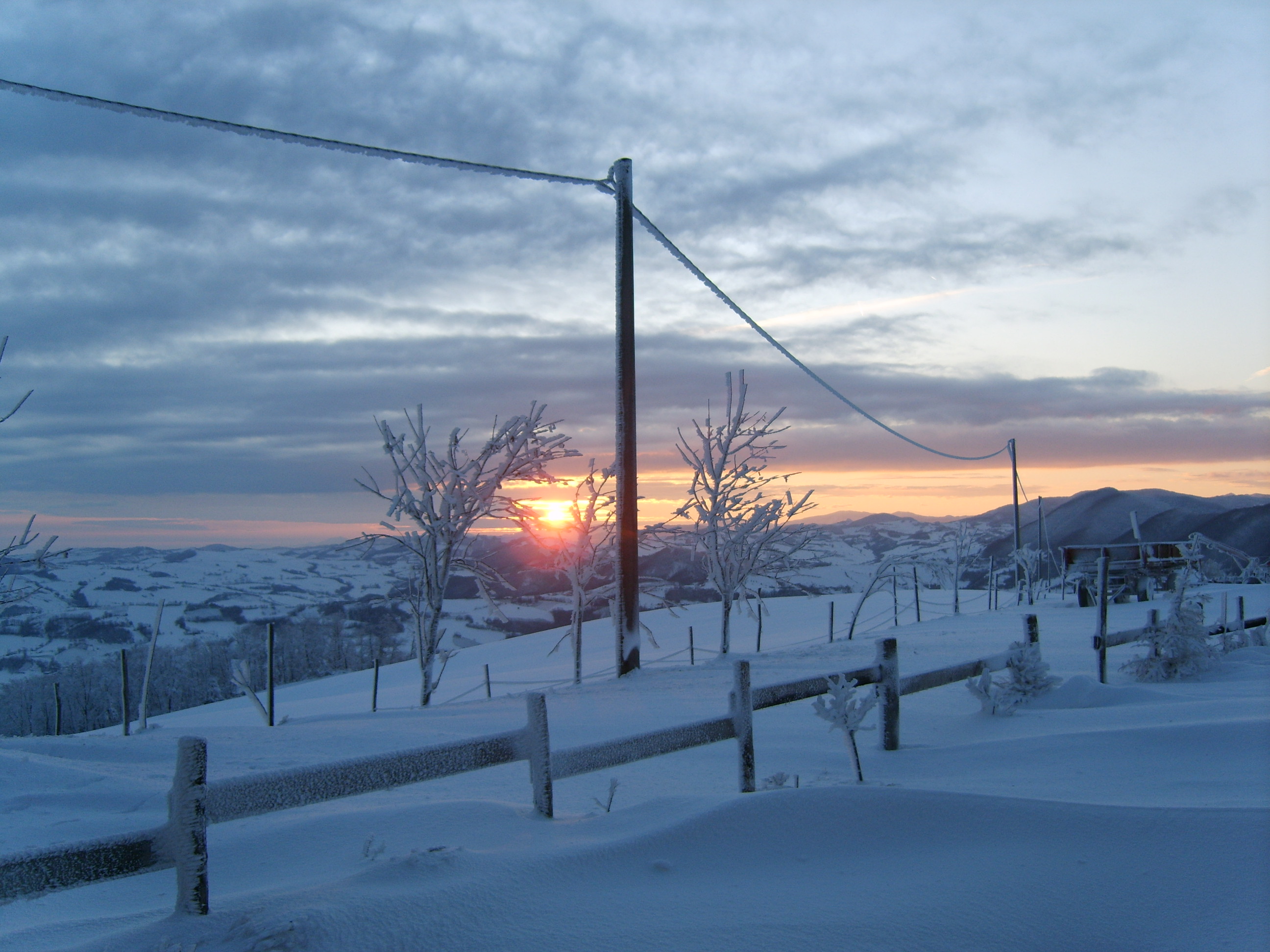 Colline piacentine azienda biologica 50 ettari in vendita