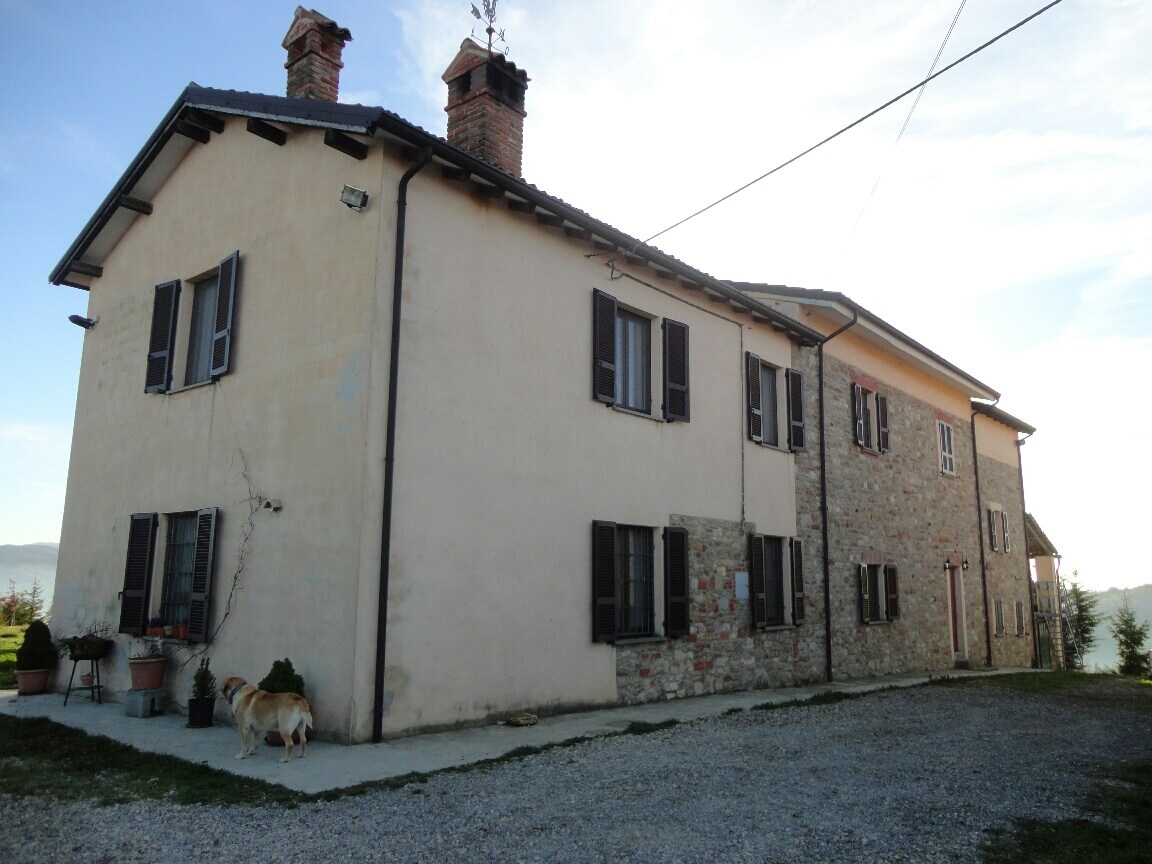 Colline piacentine azienda biologica 50 ettari in vendita
