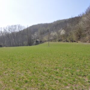 Val Curone, pianoro ideale per cavalli con rustico in sasso