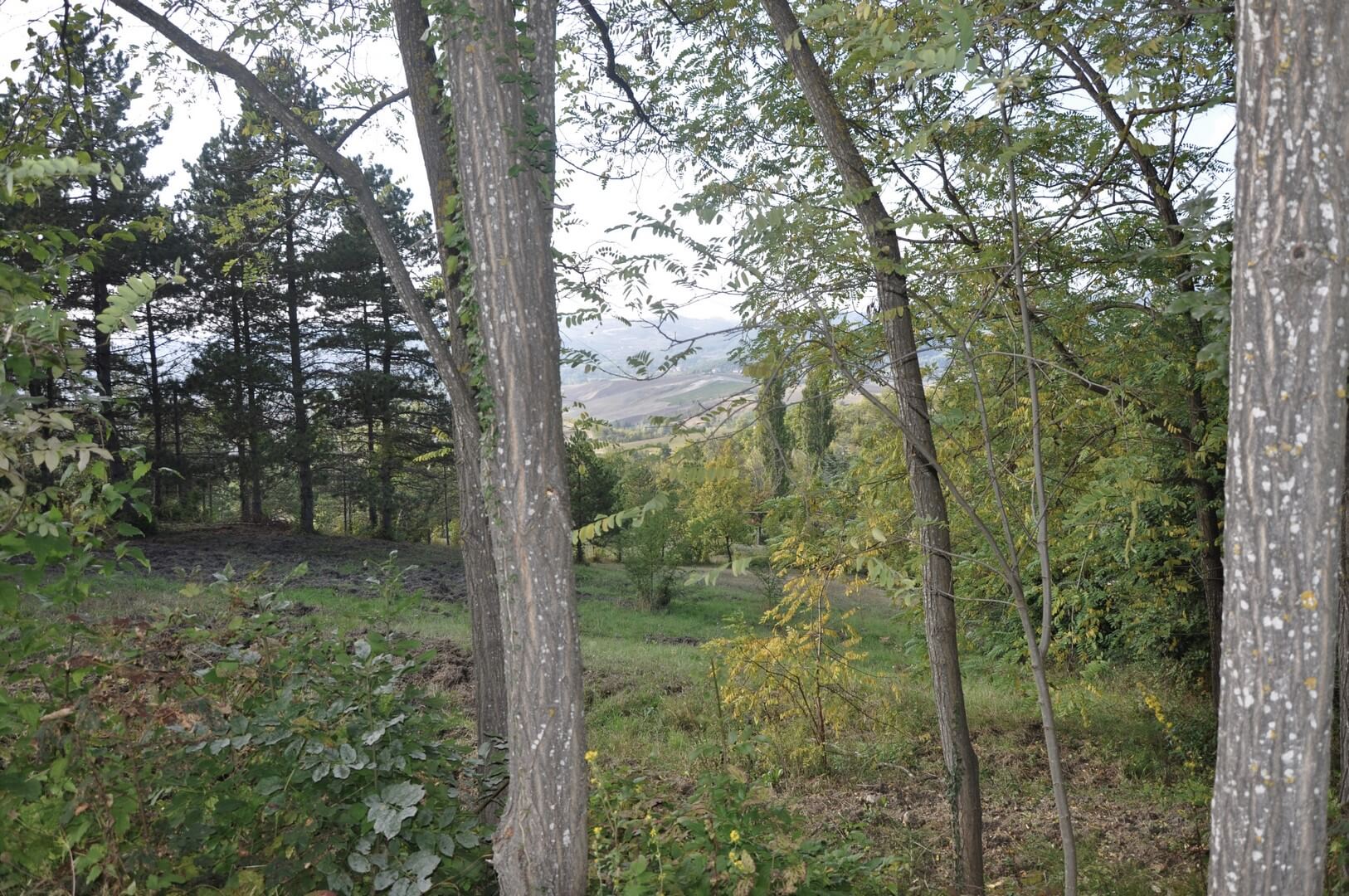 Tenuta con 9 HA Terreno a Serra del Monte - Piemonte Val Curone