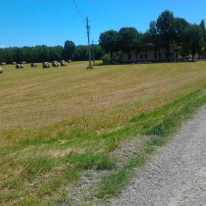 Cascina d'epoca a Rivanazzano - Oltrepo' pavese
