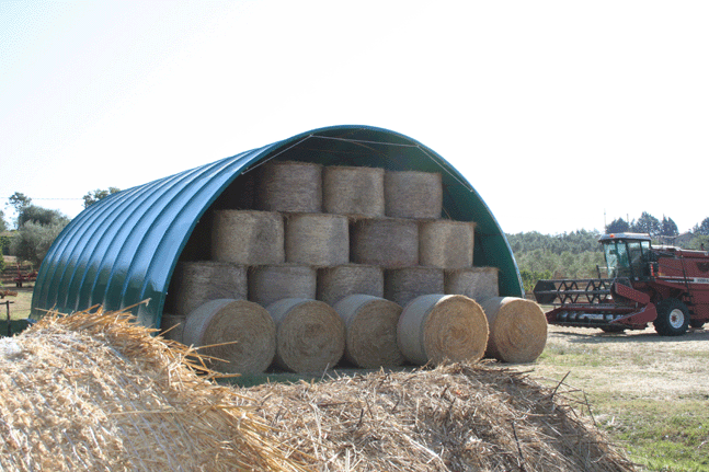 Vendesi tunnel agricoli adatti per ricovero fieni e mezzi agricoli