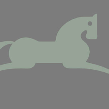 Scuderia/collaborazione cercasi