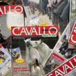 Vendo riviste "CAVALLO MAGAZINE e LO SPERONE"