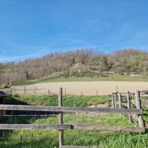 Cascina con terreno a San Sebastiano Curone (AL)