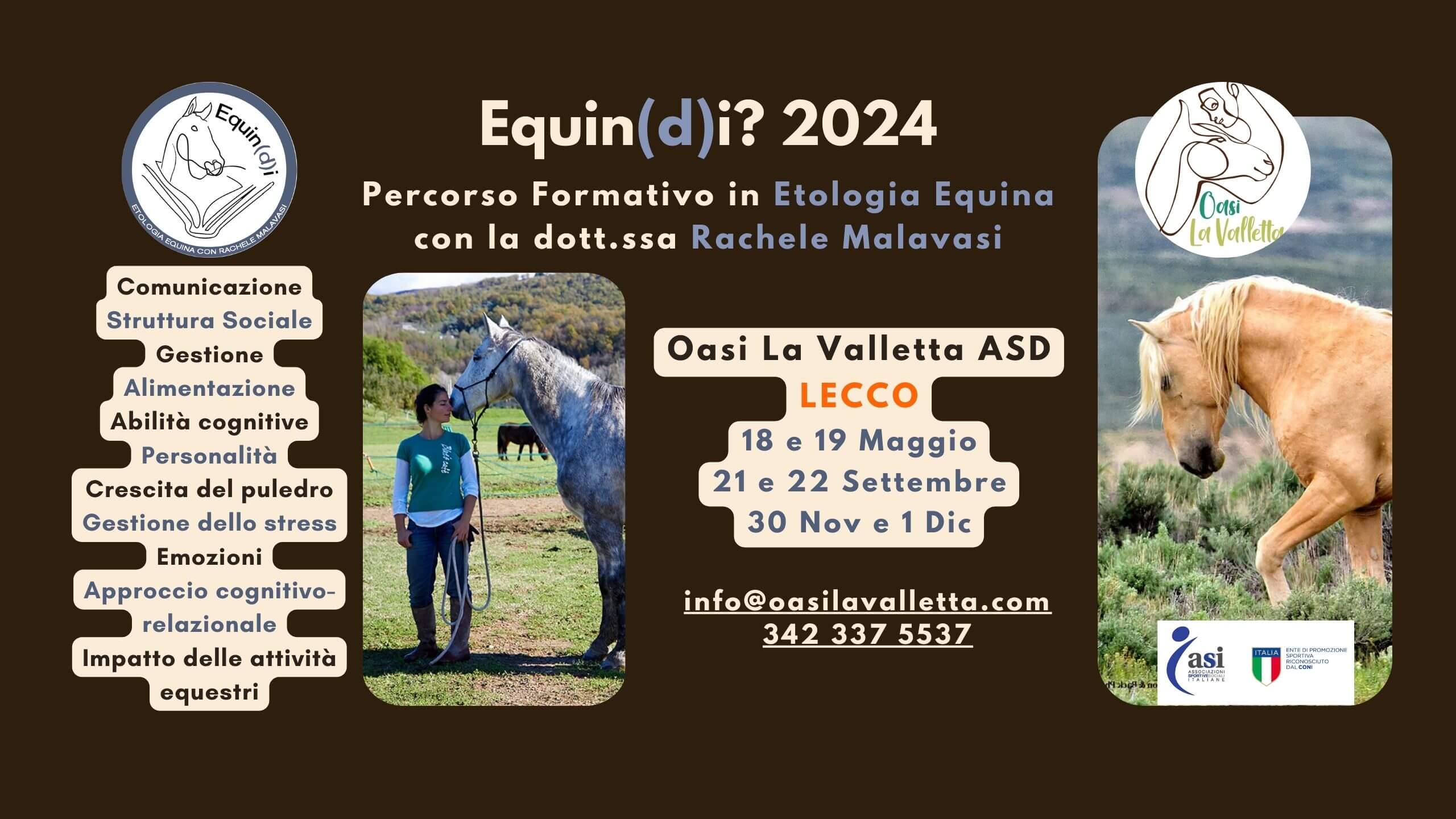 Inizia a Maggio un percorso per entrare nella mente e nel cuore dei cavalli