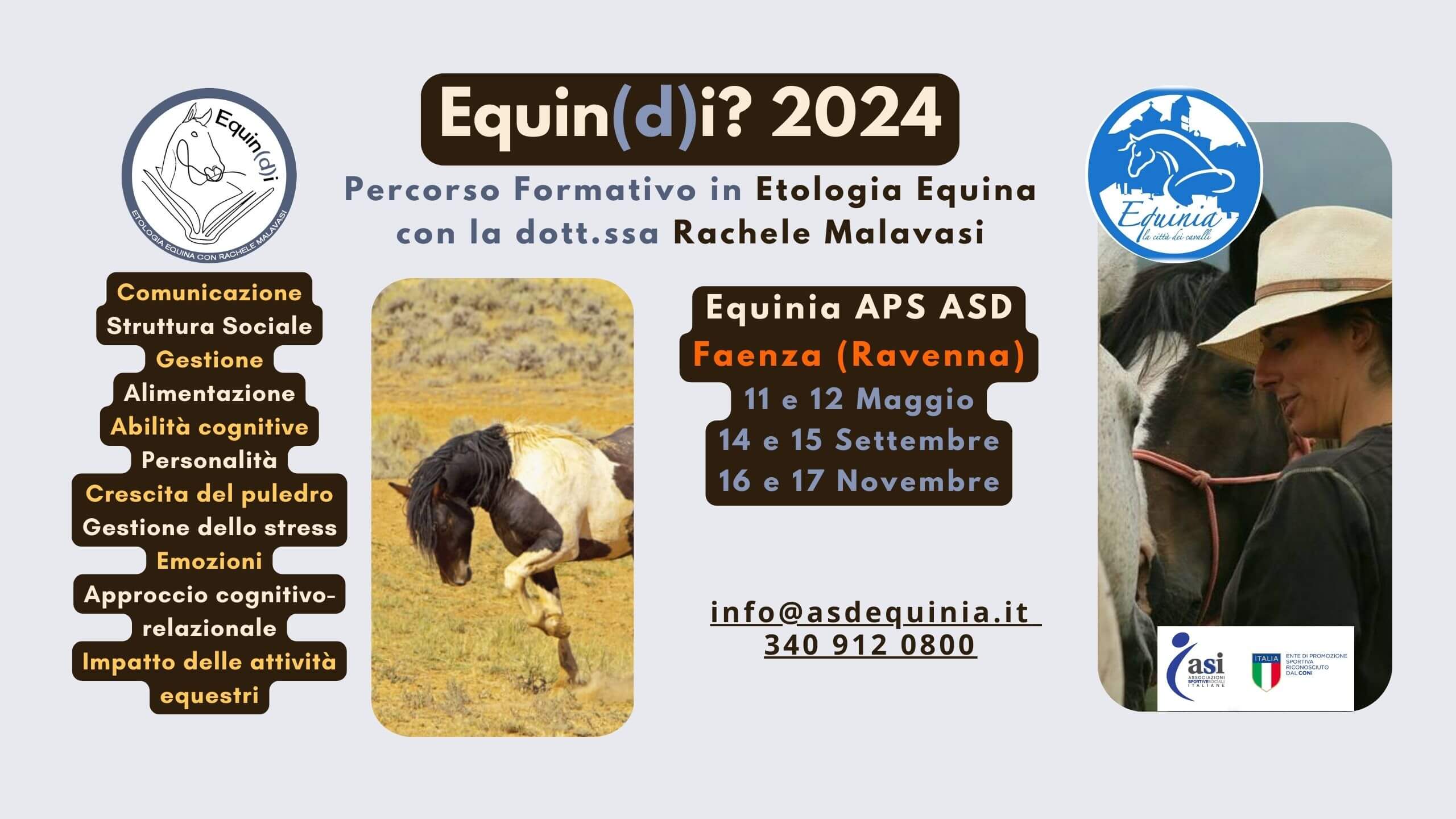 Inizia a Maggio un percorso per entrare nella mente e nel cuore dei cavalli