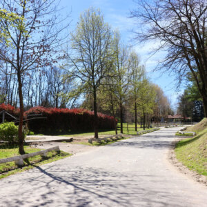 Vendesi Centro Ippico zona Como