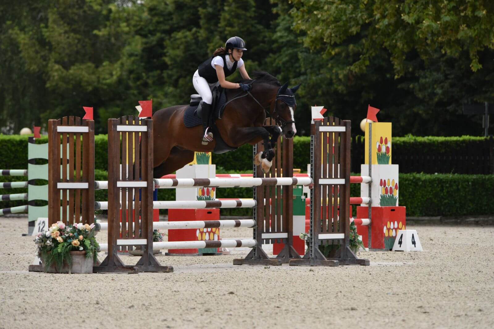 Fida cavallo