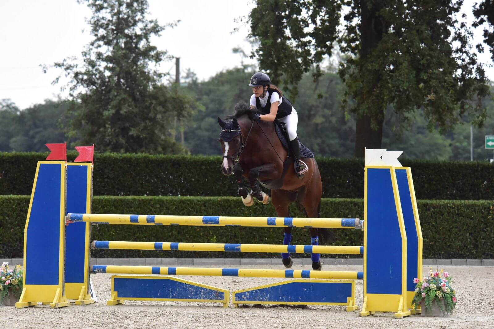 Fida cavallo