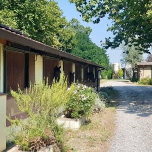 Centro di Equitazione Naturale La Farfalla Bianca