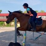 Centro di Equitazione Naturale La Farfalla Bianca