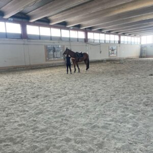 Centro di Equitazione Naturale La Farfalla Bianca