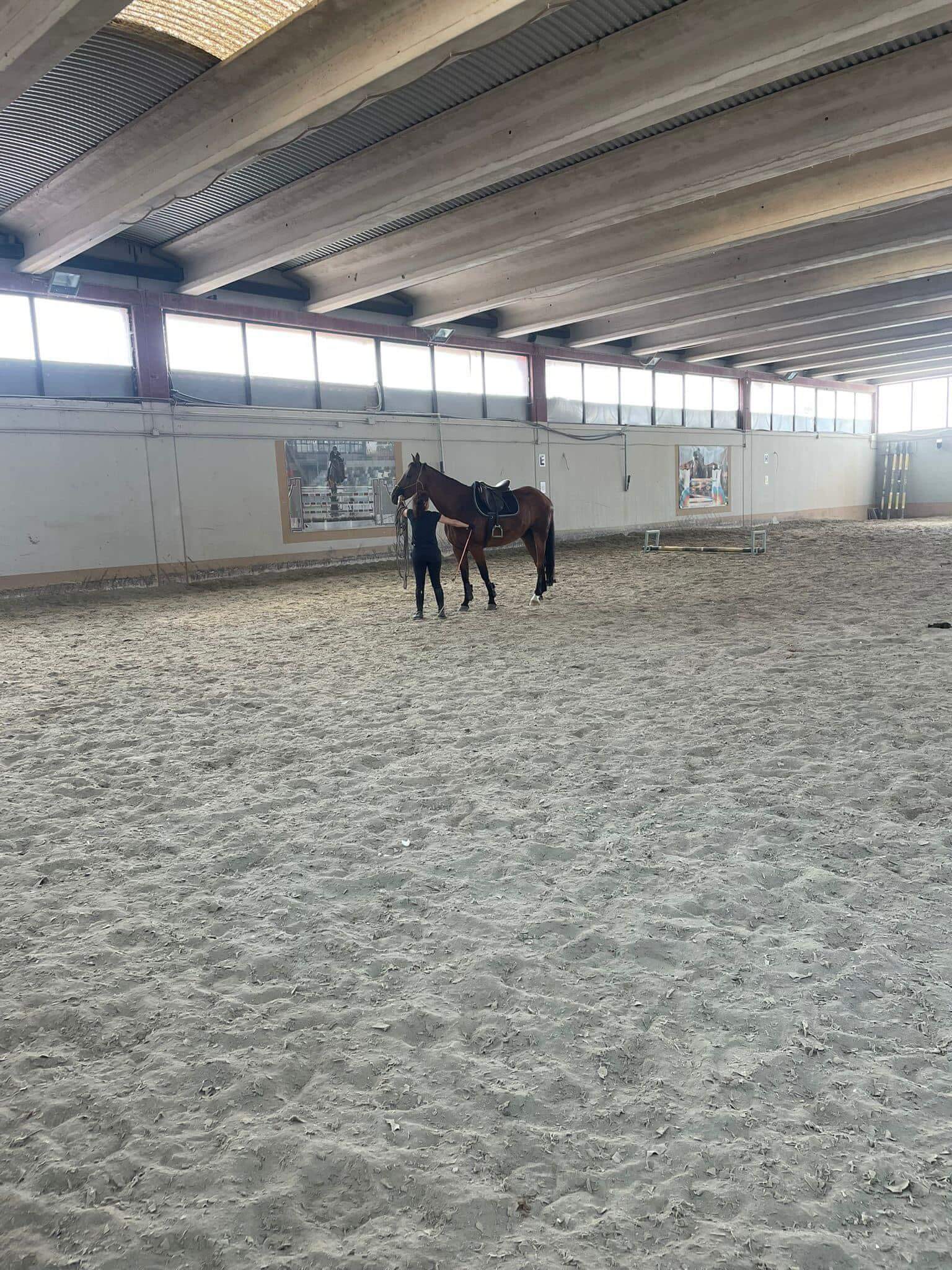 Centro di Equitazione Naturale La Farfalla Bianca