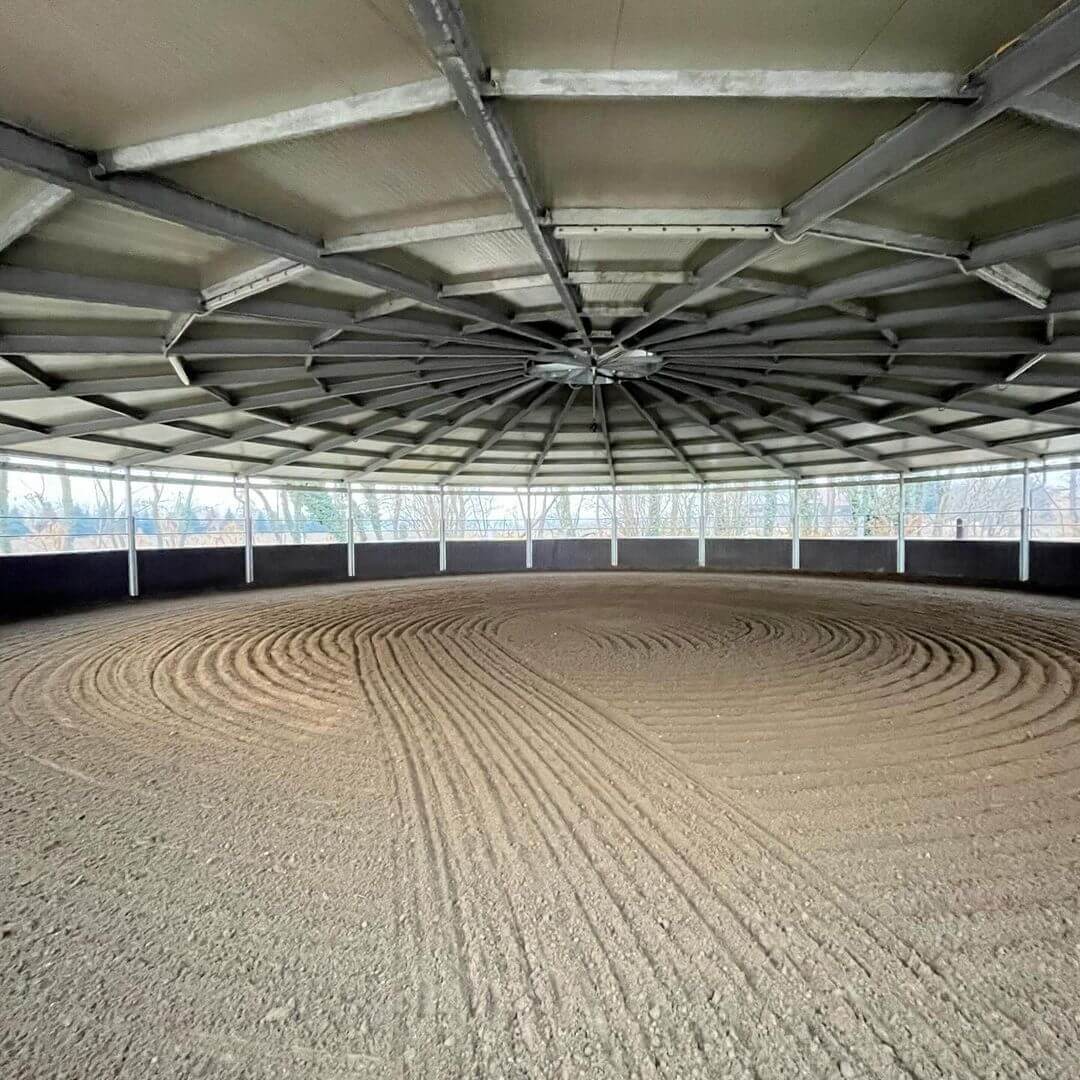 Pensione cavalli e lezioni equitazione - provincia di Milano (Magenta Polo Centro Ippico asd)