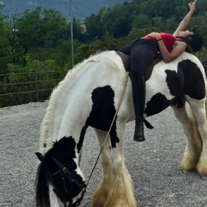 Cerco lavoro movimento cavalli, assistente istruttore