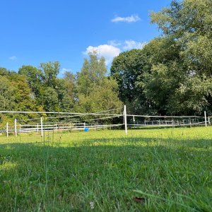 Pensione cavalli in ambiente famigliare: box, paddock, passeggiate ed eventuale palestra per salto ostacoli, dressage e cross