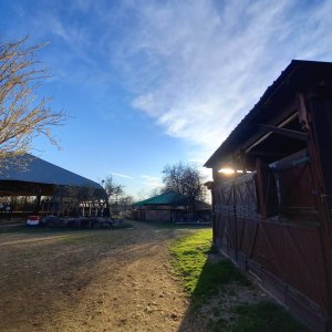 Pensione cavalli a Mariano Comense