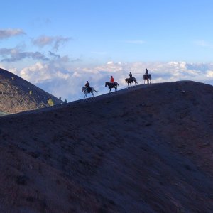 Cercasi seconda guida per trekking a cavallo