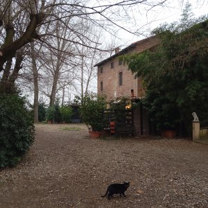 Country club Le Ghiaie asd