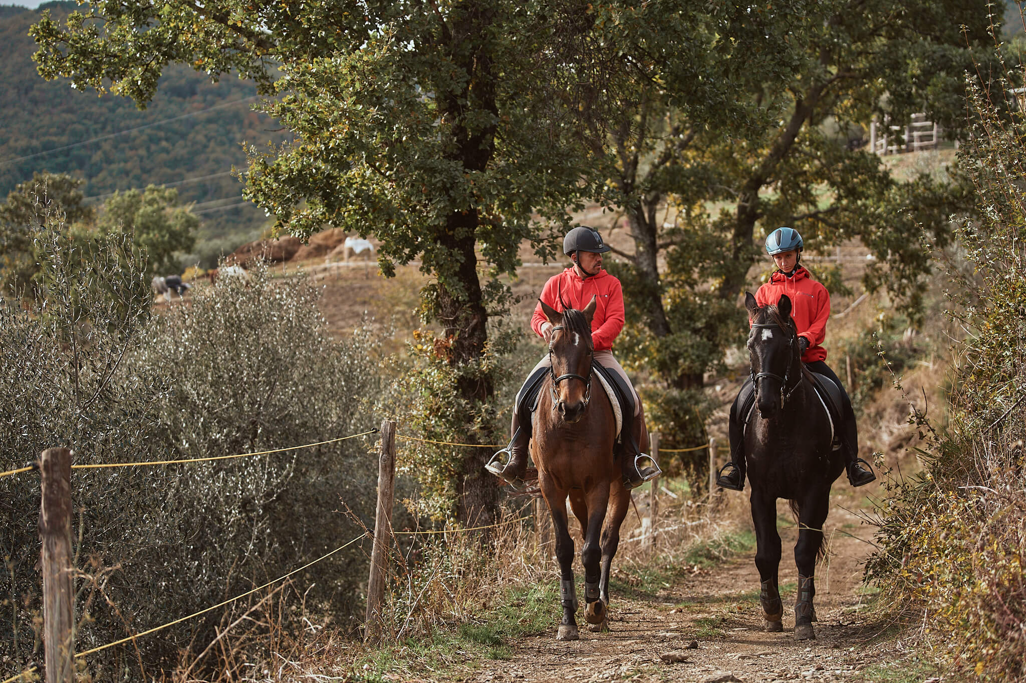 Vacanze in Agriturismo nella Val d'Orcia con Esperienze a Cavallo