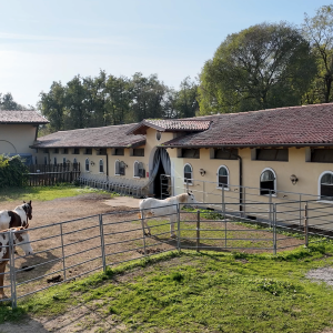 Lago di garda scuderia con maneggio in vendita