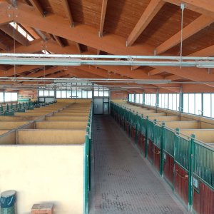 Franciacorta azienda agricola in vendita