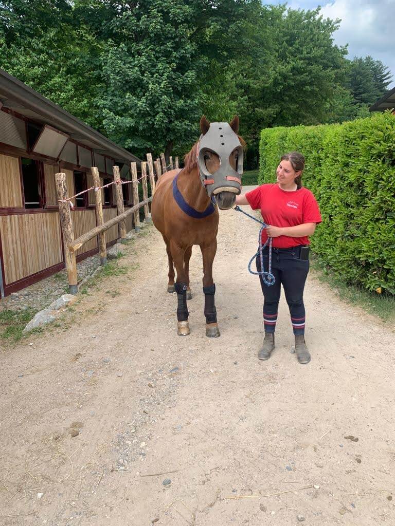 LB Horse Solution Horsemanship