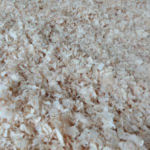 Lettiera per Animali