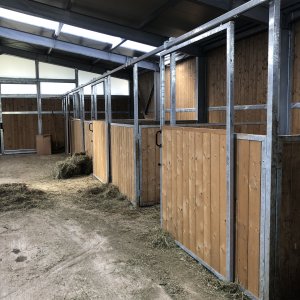 Crichi cavalli, box in Trentino