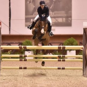 Cavallo Fabolous H.S.