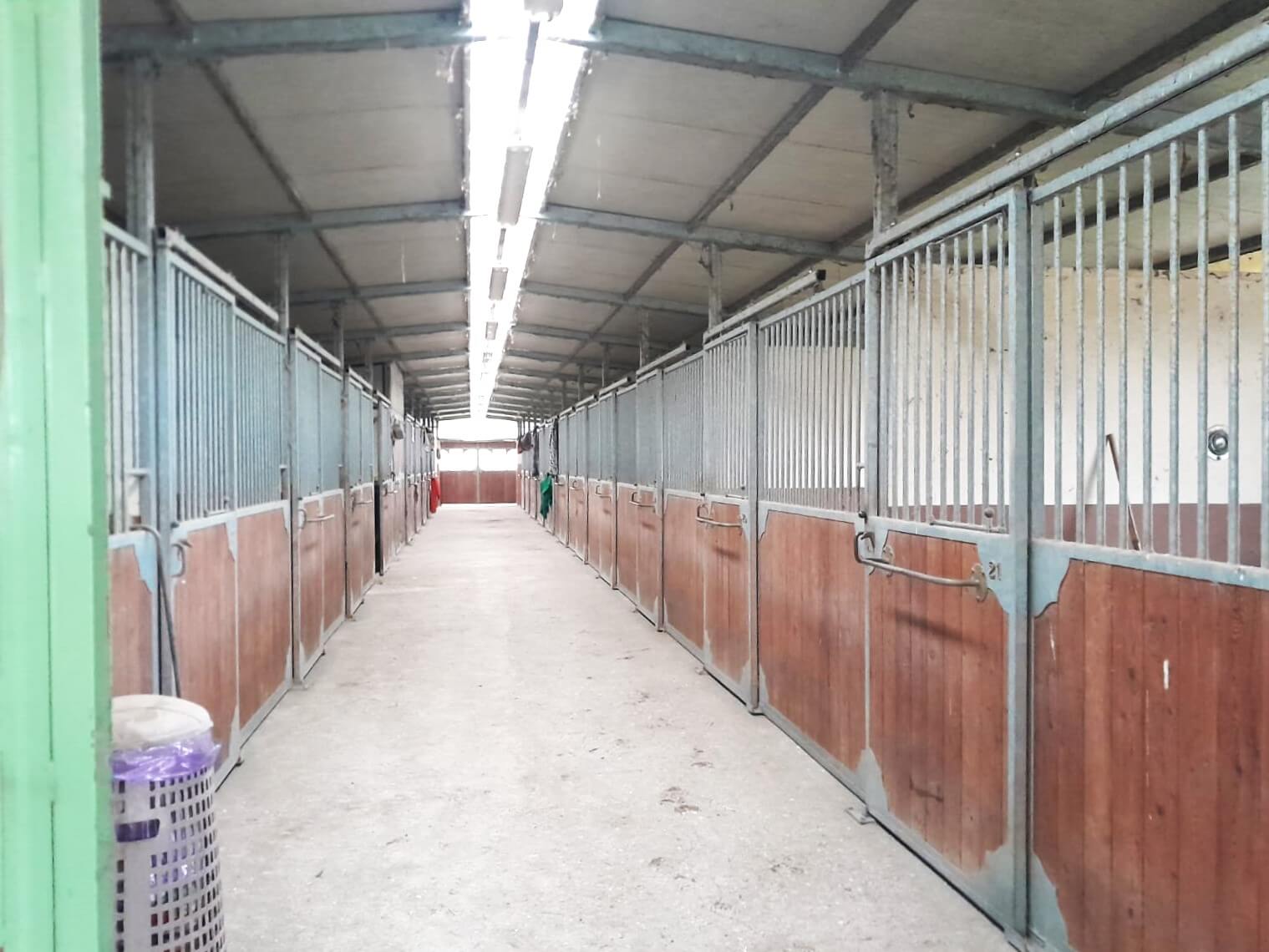 Podere agricolo di 20HA ca. + Maneggio + Struttura ricettiva 800mq