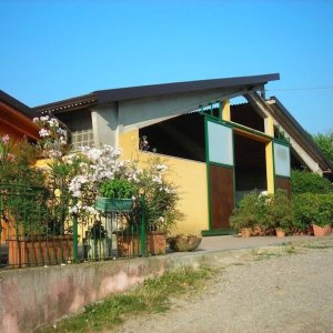 Pensione per Cavalli in Brianza, un Rifugio Tranquillo per il Tuo Compagno Equino