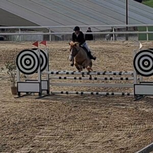 Vendo pony super salto ostacoli