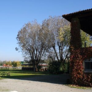 Vendesi centro ippico a Piacenza