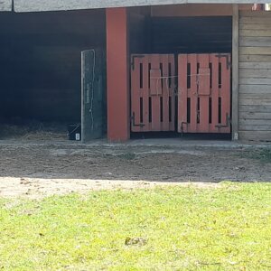 Pensione naturale per cavalli