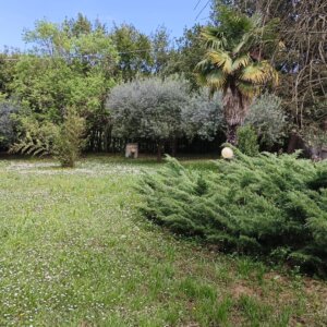 Privato vende splendido Rustico con maneggio