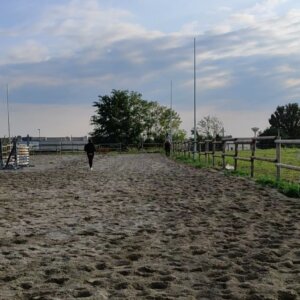 Pensione per cavalli