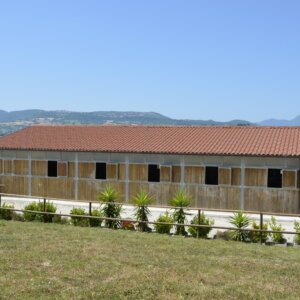 Rustico casale con maneggio coperto e scuderia