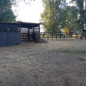 Box capannine con ampi paddok privati