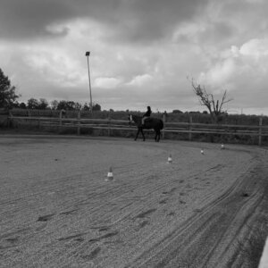 Cerco lavoro part - time