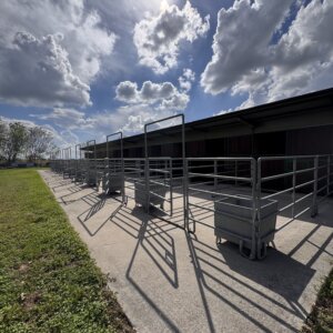 Maneggio/scuderia in affitto