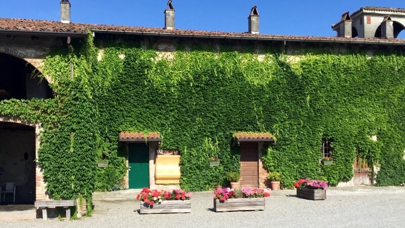 Vendesi centro ippico vicinanze Piacenza