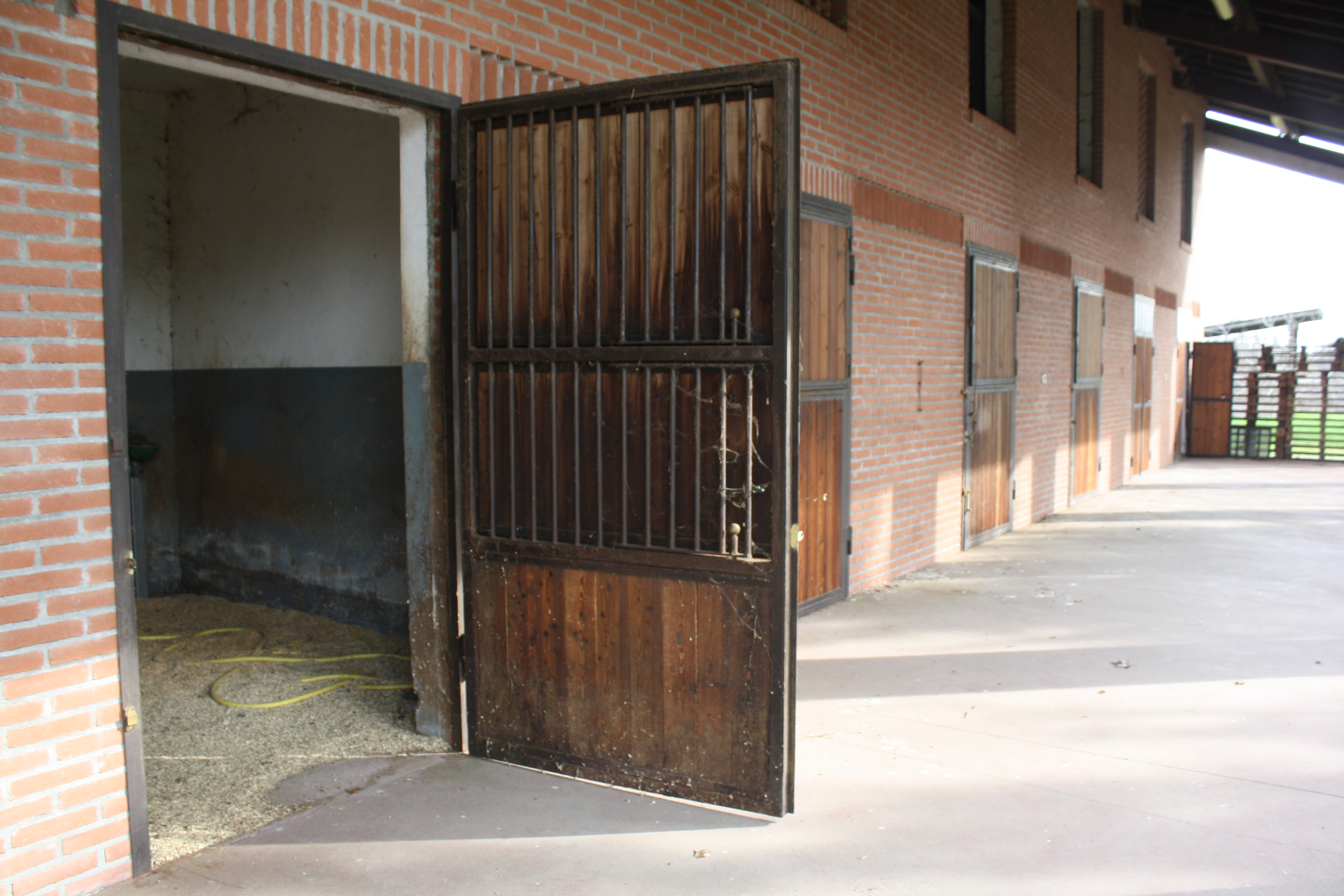 Vendesi centro ippico privato