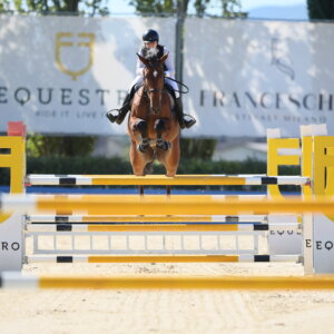 Cerco lavoro come groom