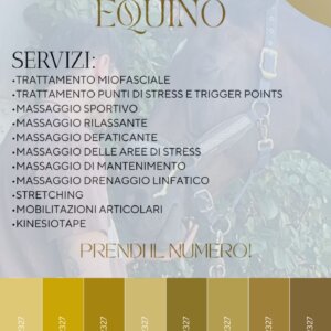 Massoterapista equino