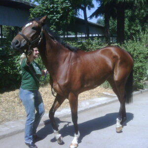 Castellazzo (MI) mezza fida